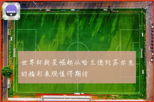 世界杯新星崛起从哈兰德到苏尔克的精彩表现值得期待